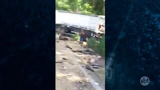 acidente com a caminhoneira e influenciadora Aline
