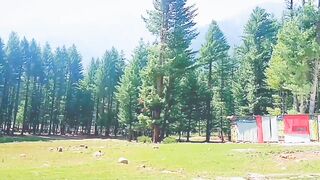 Kumrat valley beautiful view????????????