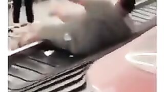 приколисти