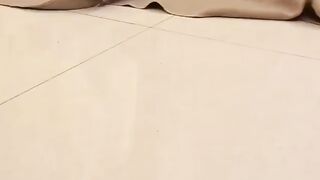 Cat - cat gear #9