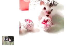 Милая мамочка со своими клубочками.