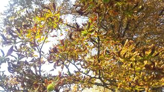 Naturally video