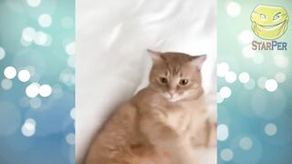 ???? ЛУЧШИЕ ПРИКОЛЫ 2022 ???? TIK TOK ???? BEST COUB ???? ТЕСТ НА ПСИХИКУ ???? ПОДБОРКА № 5