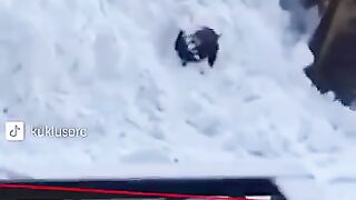 Я в шоке!!! Что творит!?