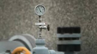 Анналена Бербок пригрозила «подходящими мерами» против трубопровода