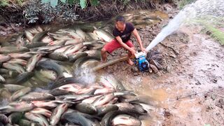 Fishing Exciting, Use A Large Capacity Pump, Catch Many Of Fish In The Lake