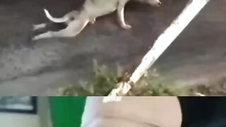Funny video 3