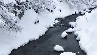 Wheather snow