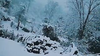 snow falling