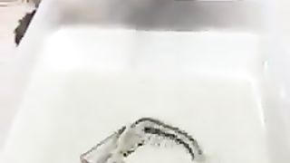 3 EYES