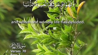 Beautifull tillawat of surah Araf