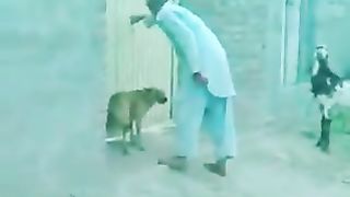 Funny videos????????????????????????