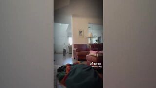 Funnist Animals ???? Funnist Cots and Dog Kawaii Pest TikTok Compilation
