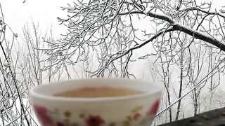 One minute of Snow Falling on Trees with a Hot cup of Morning Coffee for Relaxation