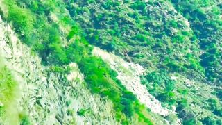 Punjabi songs Whatsapp status