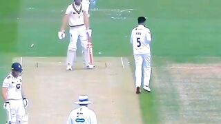 Cricket lovers