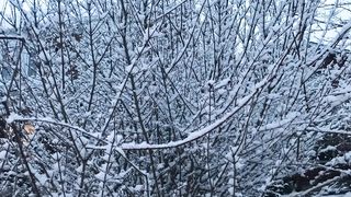 In snow ❄️||winter of road ||Subha allah||Saima tv
