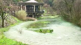 Beauty of nature