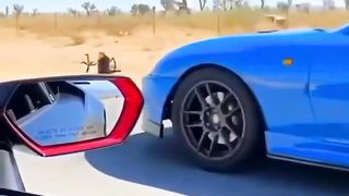 toyota supra vs lamborgini
