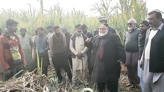 Zamzam cleaner of Sugarcane