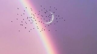Rainbow ????