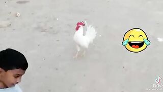 Cute funny boy, funny videos, viral funny videos,febspot viral videos, entertainment,