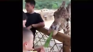 Funny video 3