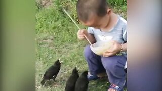 Beautiful Message from birds for u