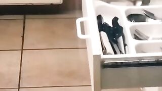 Funny animals videos