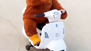 Cute kids video
