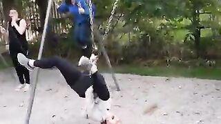 Best funny video