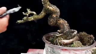 Great bonsai bending skills ????❤️