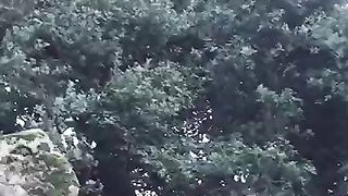 Pakistan_national_animal_Markhore