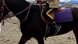 Horse Riding/Training/???? Riding Training.