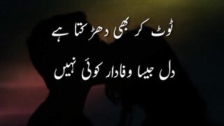 Toot ????kar b darkta ha | poetry in Urdu poetry status | emotional shayari status