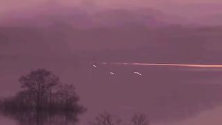 Nature video