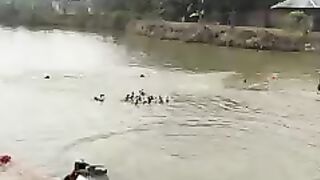 مچھلی کا۔شکار