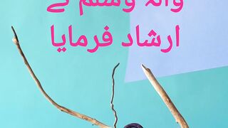 Hadees pak||Hadees shraif||Hadees pak in urdu||Hadees sharif in urdu||Hadees pak in Hindi||Hadees sharif in hindi