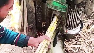 Punjab village life