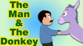 Quick Donkey's fighting