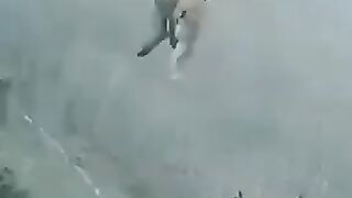 Crazy strength bird...