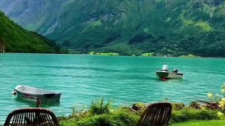 The Beauty of Nature fall in love