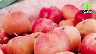 A for Apple B for Ball abc phonics song