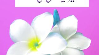 Holy Quran Ayaat Love Allah