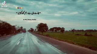 Mn Ku Weham Kadokran Ha||New Siraiki Song |Status|2023|