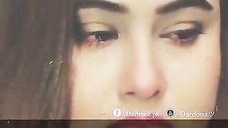best video in febspot