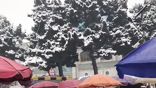 Snowy day