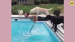 Funniest Animals - Best Funny Dog And Cat - Top Funny Dog and Cat  2023