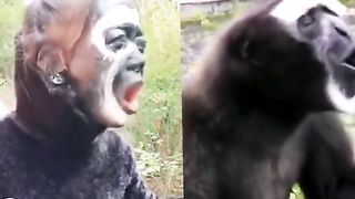 Must Watch New Funny Video । Amazing comedy Video । Best Comedy Videos । Ep 0027