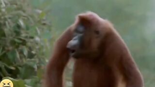 Must Watch New Funny Video । Amazing comedy Video । Best Comedy Videos । Ep 0029